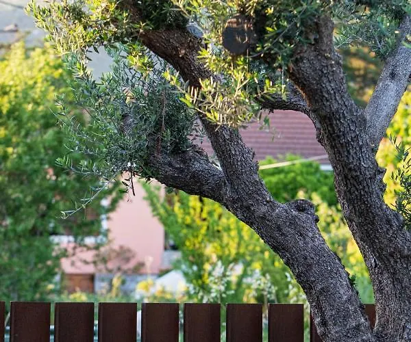 Lethe With Private Pool Greece 别墅 卡托加兹阿