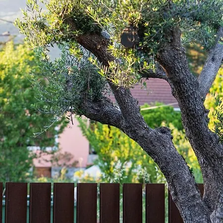 Lethe With Private Pool Greece فيلة كاتو جاتزي